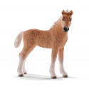 Poulain Bashkir Curly - Schleich 13781