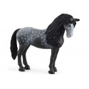 Poulain Forêt-Noire - Schleich