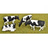 Lot de 4 vaches Holstein - Friesian avec transpondeur - AT-Collections AT3200503