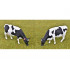 Lot de 4 vaches Holstein - Friesian avec transpondeur - AT-Collections AT3200503