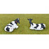 Lot de 4 vaches Holstein - Friesian avec transpondeur - AT-Collections AT3200503