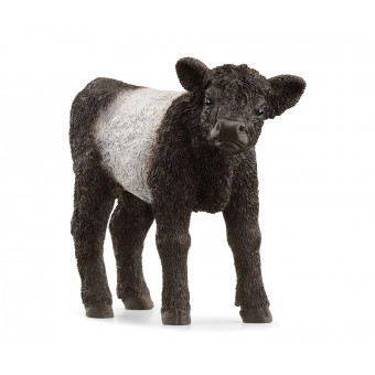 Veau Galloway - Schleich 13969