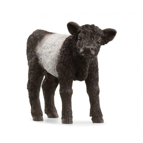 Veau Galloway - Schleich 13969