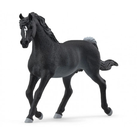 Etalon Arabe - Schleich 13981