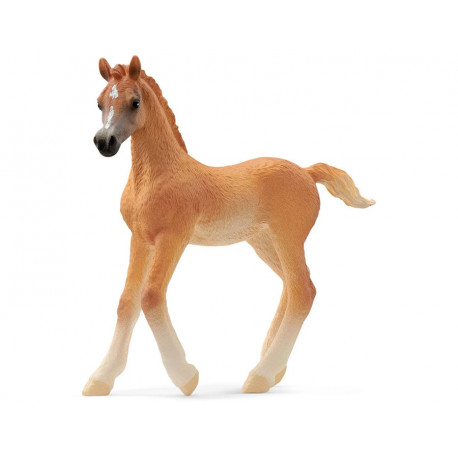 Poulain Arabe - Schleich 13984