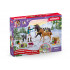 Calendrier de l'Avent Hors Club 2024 - Schleich 99092