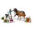 Calendrier de l'Avent Hors Club 2024 - Schleich 99092